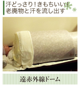 汗と一緒に老廃物をどっさり出す!遠赤外線ドーム